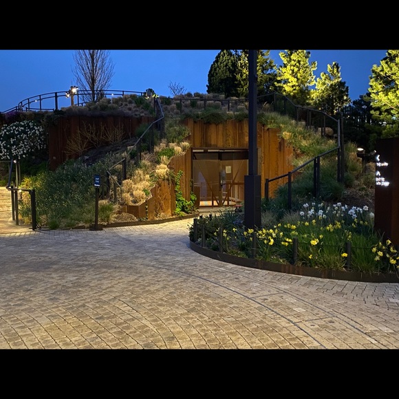 Meet your Posher, Rosy - Picture 2 of 4